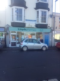 Lloyds Pharmacy 888113 Image 0